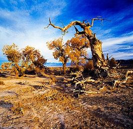 Capcom考虑重制不带数字的《生化危机》游戏