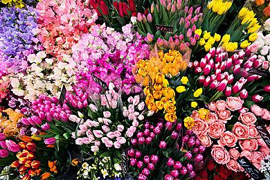 《暗黑破坏神：不朽》PC＆安卓＆iOS配置公开